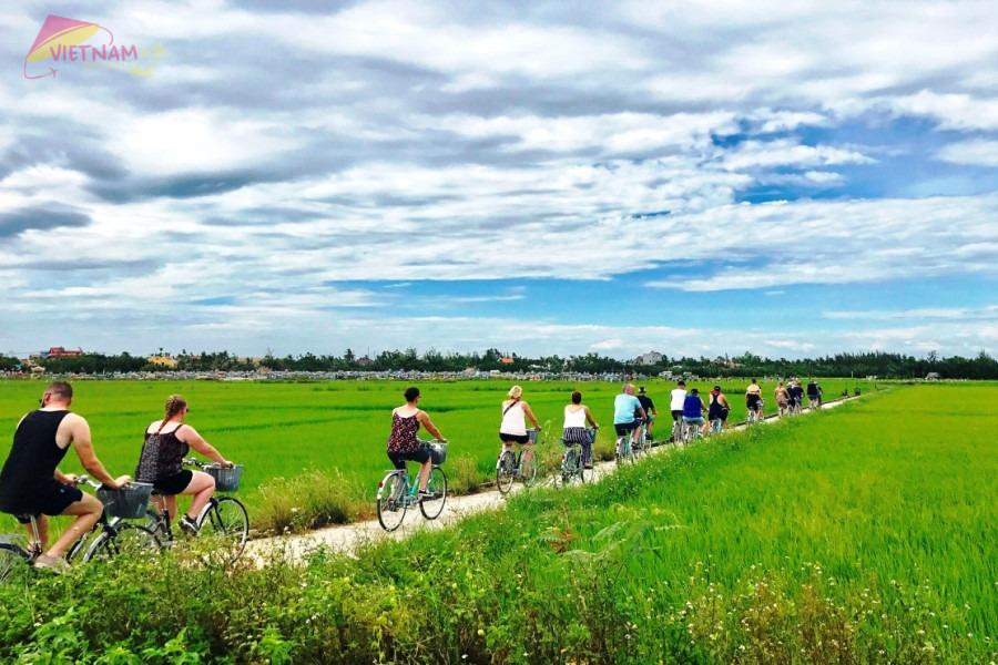 Cycling Tours