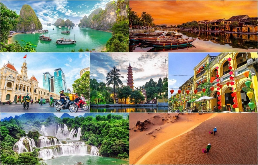 Sightseeing Tours
